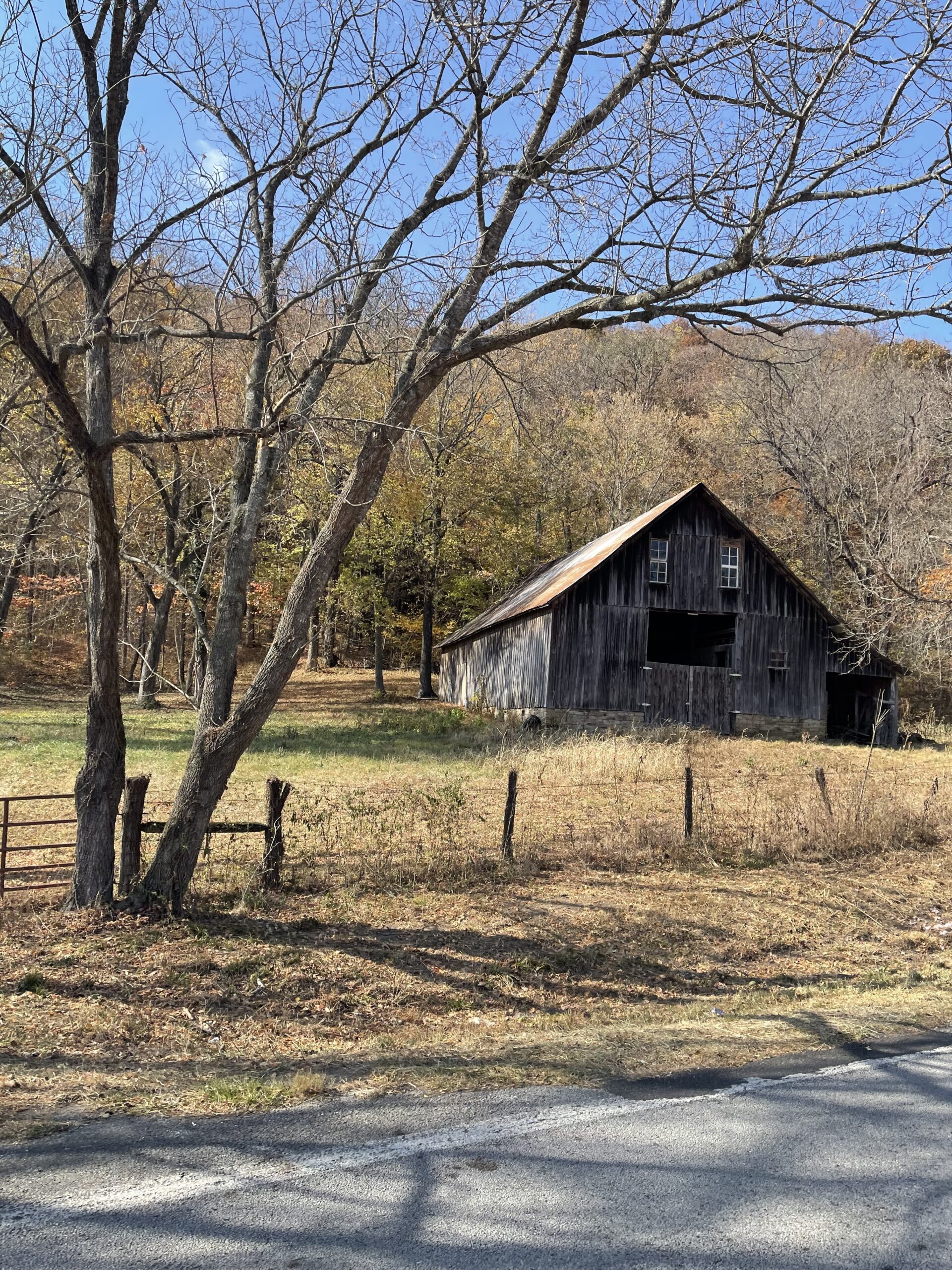 Arkansas Fall Drive-2024